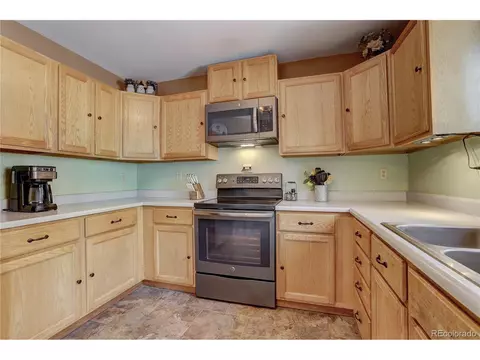 12317 S Cindy Ave, Pine, CO 80470 photo 12