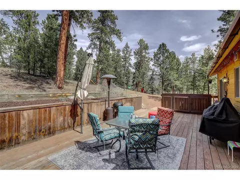 12317 S Cindy Ave, Pine, CO 80470 photo 32
