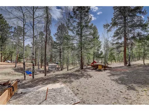 12317 S Cindy Ave, Pine, CO 80470 photo 29