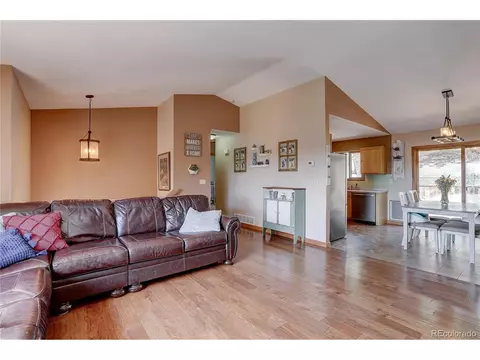 12317 S Cindy Ave, Pine, CO 80470 photo 7