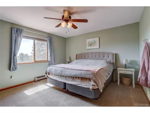 12317 S Cindy Ave, Pine, CO 80470 photo 14