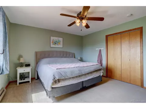 12317 S Cindy Ave, Pine, CO 80470 photo 15