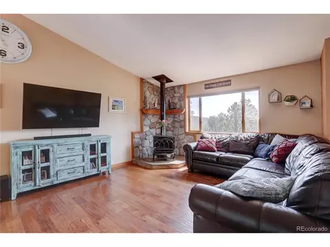 12317 S Cindy Ave, Pine, CO 80470 photo 6