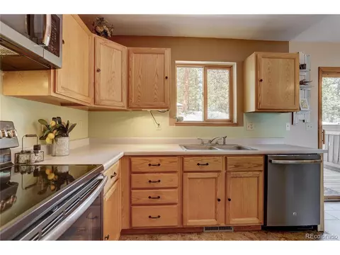 12317 S Cindy Ave, Pine, CO 80470 photo 11