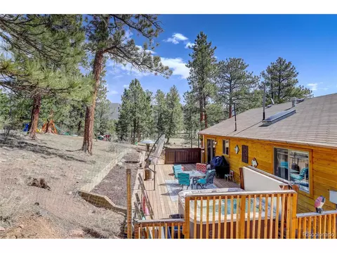 12317 S Cindy Ave, Pine, CO 80470 photo 34