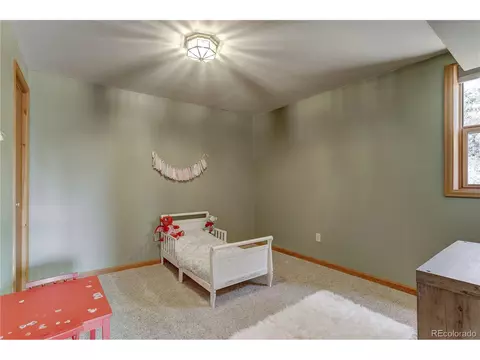 12317 S Cindy Ave, Pine, CO 80470 photo 20