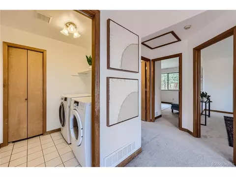 1132 N Pine Dr, Bailey, CO 80421 photo 21