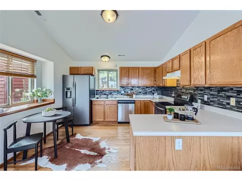 1132 N Pine Dr, Bailey, CO 80421 photo 12