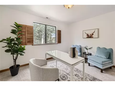 1132 N Pine Dr, Bailey, CO 80421 photo 16
