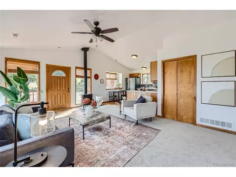1132 N Pine Dr, Bailey, CO 80421 photo 9