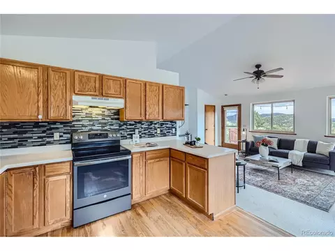 1132 N Pine Dr, Bailey, CO 80421 photo 13