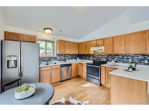 1132 N Pine Dr, Bailey, CO 80421 photo 11