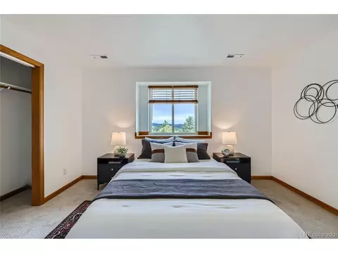 1132 N Pine Dr, Bailey, CO 80421 photo 19