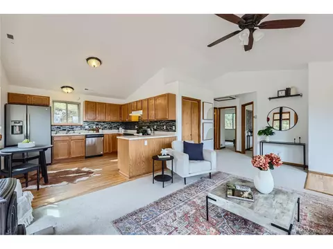 1132 N Pine Dr, Bailey, CO 80421 photo 6