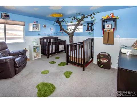 11581 Grape St, Thornton, CO 80233 photo 13