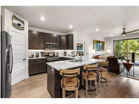 Undisclosed, Dillon, CO 80435 photo 13