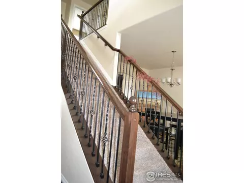 403 Wind River Dr, Windsor, CO 80550 photo 11