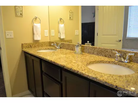 403 Wind River Dr, Windsor, CO 80550 photo 20