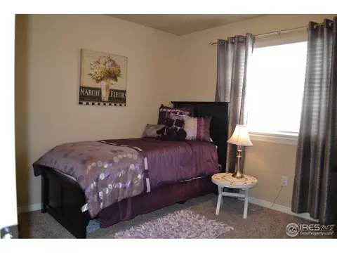 403 Wind River Dr, Windsor, CO 80550 photo 13