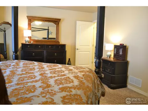 403 Wind River Dr, Windsor, CO 80550 photo 19
