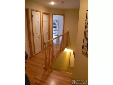 113 Eagle Canyon Cir, Lyons, CO 80540 photo 20