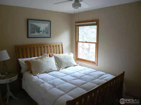 113 Eagle Canyon Cir, Lyons, CO 80540 photo 19