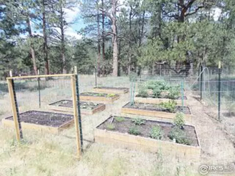 1284 Kiowa Rd, Lyons, CO 80540 photo 7