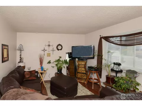 703 37th Ave, Greeley, CO 80634 photo 18