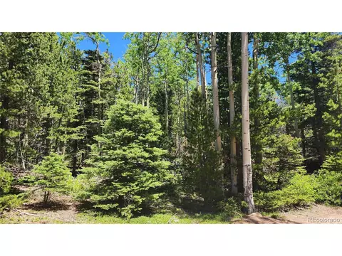 3208 Zipf Ln, Fort Garland, CO 81133