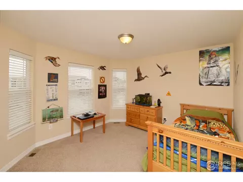 1114 Crescent Dr, Windsor, CO 80550 photo 18
