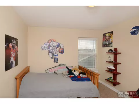 1114 Crescent Dr, Windsor, CO 80550 photo 19