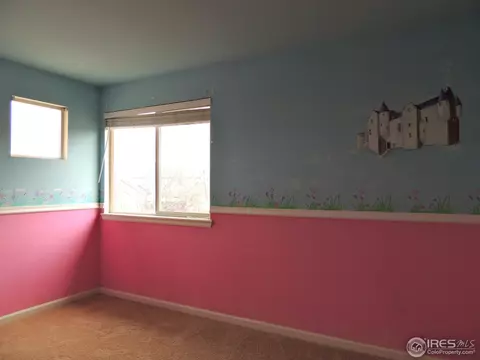 5008 E 118th Pl, Thornton, CO 80233 photo 13