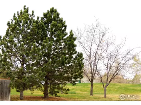 5008 E 118th Pl, Thornton, CO 80233 photo 21