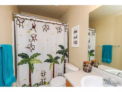 11444 Deerfield Dr, Firestone, CO 80504 photo 14