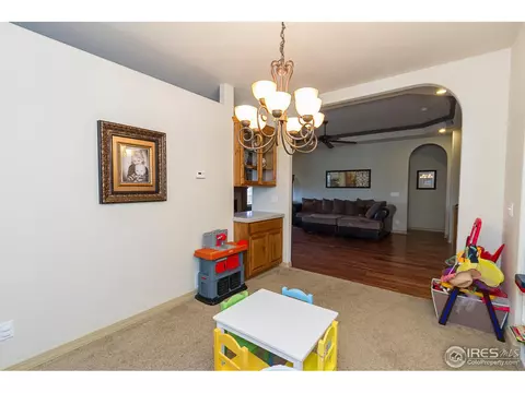 110 Kitty Hawk Dr, Windsor, CO 80550 photo 11