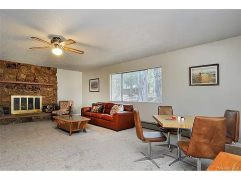 370 Smith Ln, Howard, CO 81233 photo 6