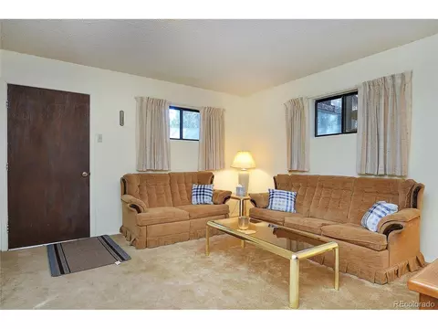 370 Smith Ln, Howard, CO 81233 photo 26