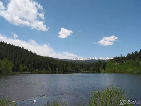 215 Pine Cone Dr, Ward, CO 80481 photo 14