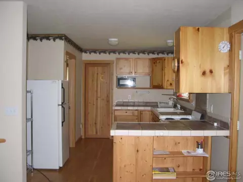 215 Pine Cone Dr, Ward, CO 80481 photo 2