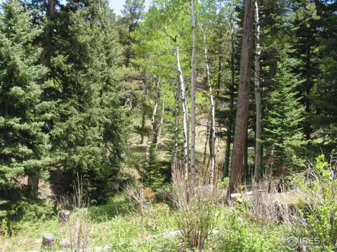 215 Pine Cone Dr, Ward, CO 80481 photo 19