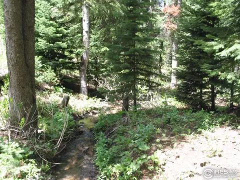 215 Pine Cone Dr, Ward, CO 80481 photo 23