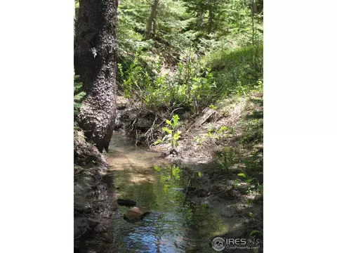 215 Pine Cone Dr, Ward, CO 80481 photo 24