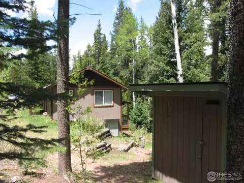 215 Pine Cone Dr, Ward, CO 80481 photo 17
