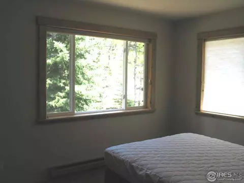 215 Pine Cone Dr, Ward, CO 80481 photo 7