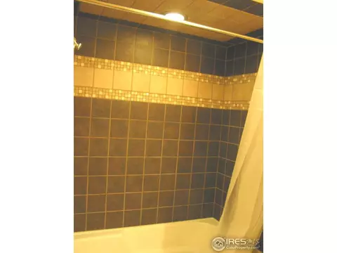 215 Pine Cone Dr, Ward, CO 80481 photo 10