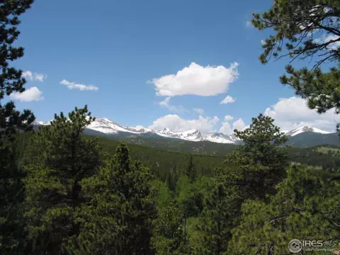 215 Pine Cone Dr, Ward, CO 80481 photo 15