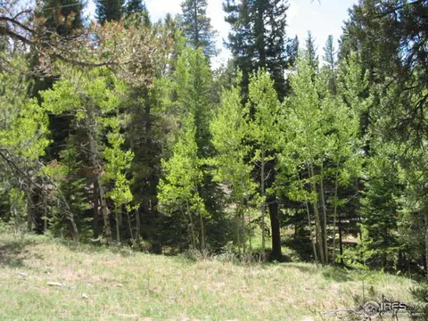 215 Pine Cone Dr, Ward, CO 80481 photo 22