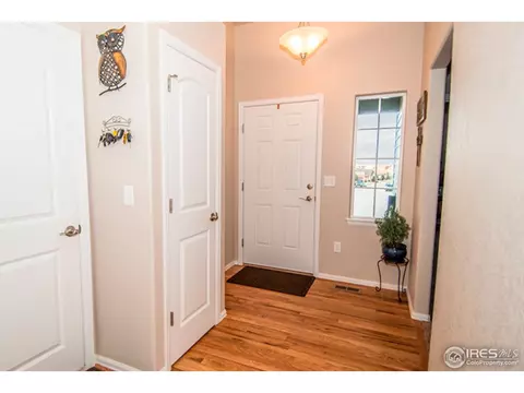 2031 Bayfront Dr, Windsor, CO 80550 photo 2