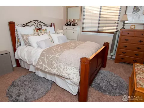 2031 Bayfront Dr, Windsor, CO 80550 photo 10