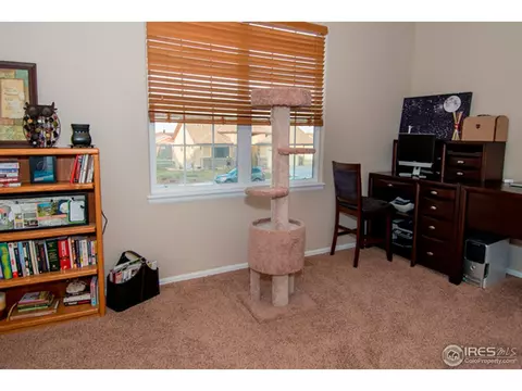 2031 Bayfront Dr, Windsor, CO 80550 photo 11